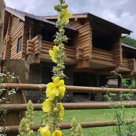Guest house Casa Din Vale *