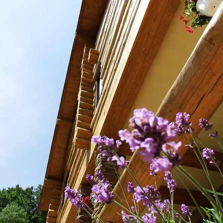 Casa Din Vale